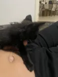 Dora