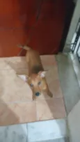 Felipe 