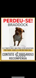 Braddock