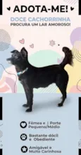pretinha 