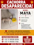 Maya