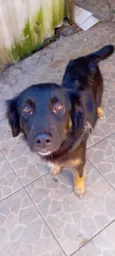 Pérola