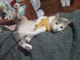 Mei
