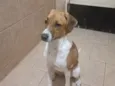 Jully