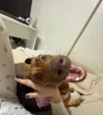 Mia 