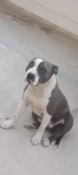 Princesa
