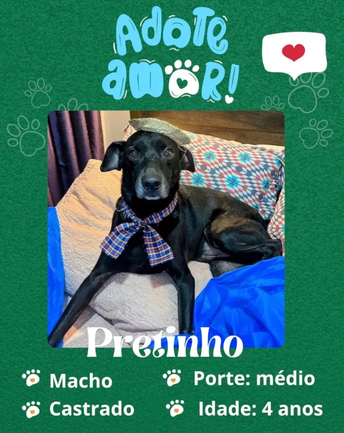 Cachorro raça SRD-ViraLata idade 4 anos nome Pretinho