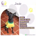 Jade
