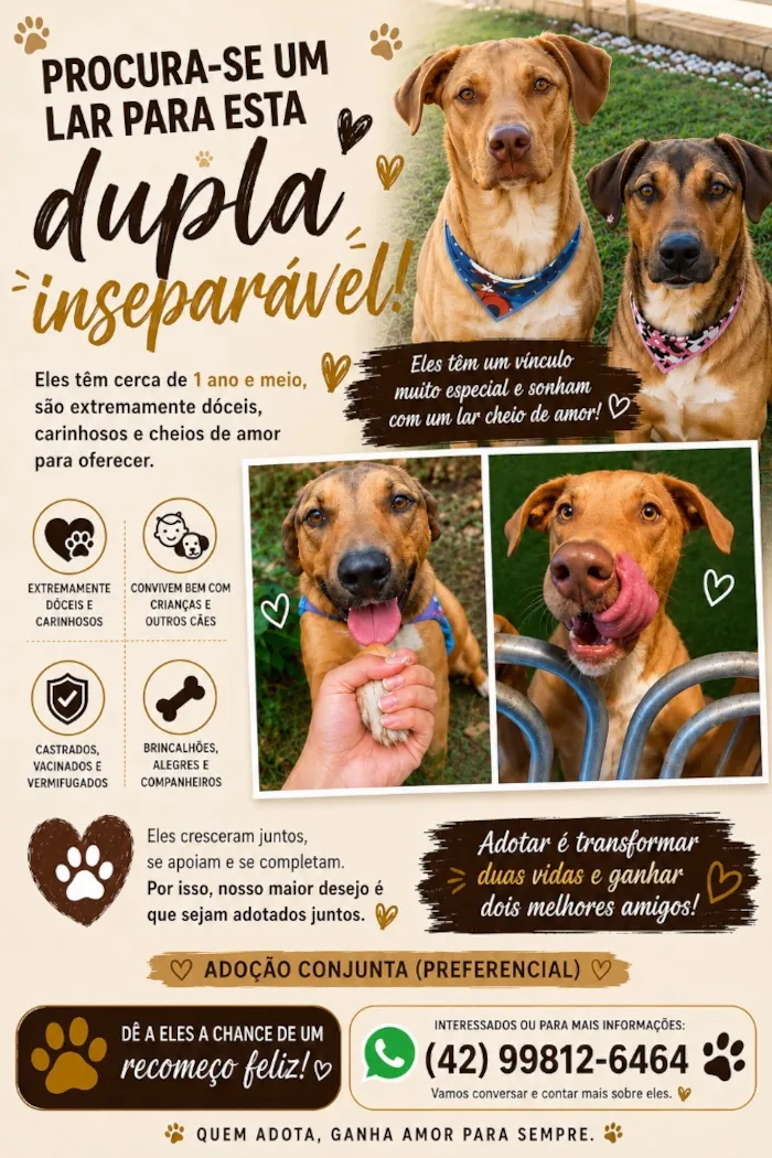 Cachorro raça SRD-ViraLata idade 2 anos nome Rubens e Madalena