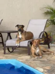 Rubens e Madalena