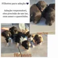 sem nome