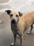 menininha 