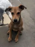 Nick