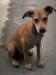 Nick