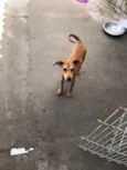 Nick