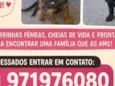 sem nome
