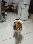 fred