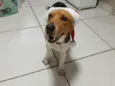 fred