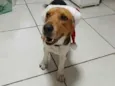 fred