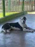 Spike