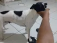 vitória 