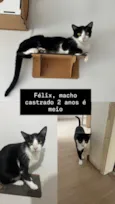 Félix