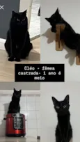 Cléo