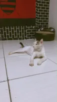 Ze felipe 