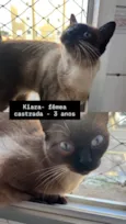 Kiara
