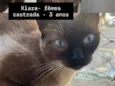 Kiara