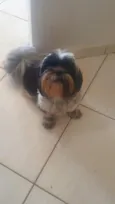Amora