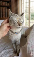 Agatha