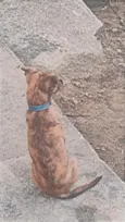 Ragnar 