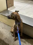 Ragnar 