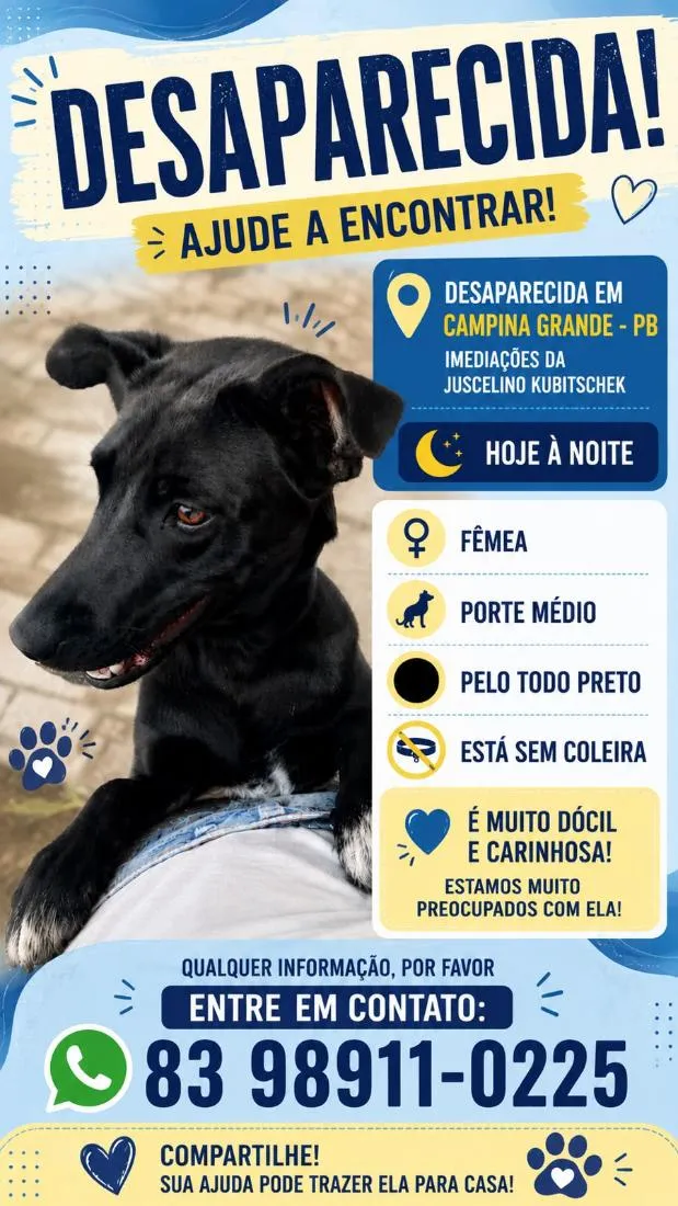 Cachorro raça SRD-ViraLata idade 5 anos nome Kyra