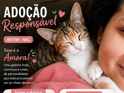 Gato raça SRD-ViraLata idade 1 ano nome Amora