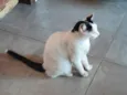 Nina