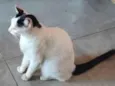 Nina