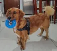 Léo