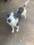 Bob