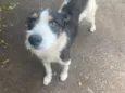 Bob