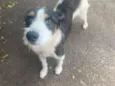 Bob