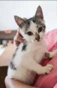Mia