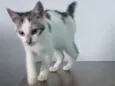 Mia
