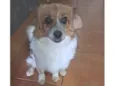 Ízy