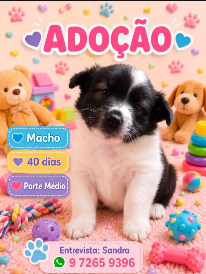 Cachorro raça SRD-ViraLata idade Abaixo de 2 meses nome Luke