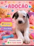 Lola 