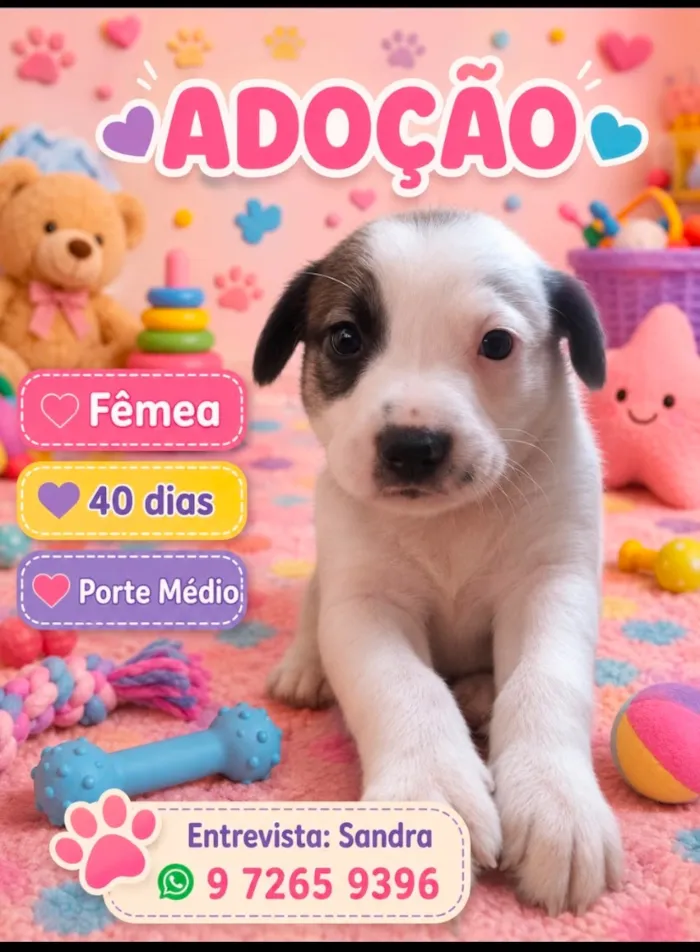 Cachorro raça SRD-ViraLata idade Abaixo de 2 meses nome Lola 