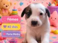 Lola 