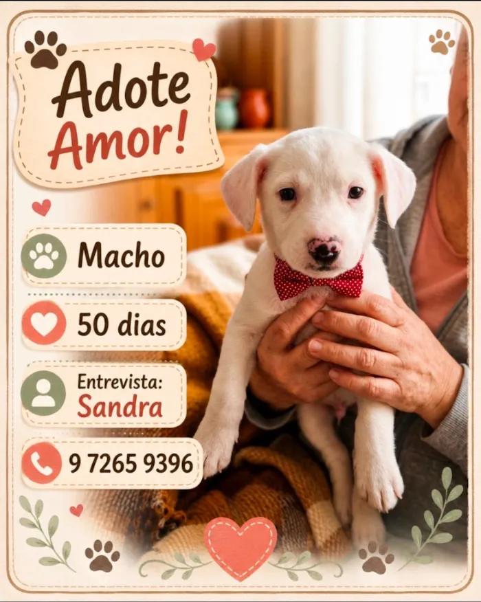 Cachorro raça SRD-ViraLata idade Abaixo de 2 meses nome Claudinei 